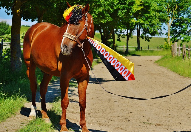 岁天，秘鲁老将格雷罗成为南美世预赛最年长进球球员.